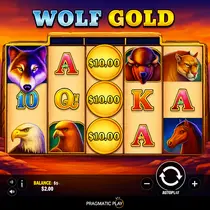 Shazam - Wolf Gold Slot Game - Pragmatic Play Pokie